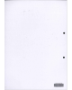 EXAM PAD (ISBN: 10030001)