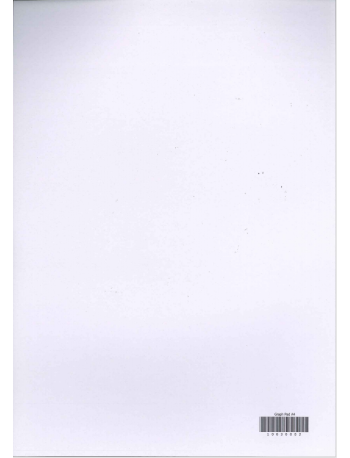 GRAPH PAD A4 (ISBN: 10030002)
