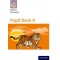 NELSON GRAMMAR PUPIL BOOK 6  (ISBN: 9780198353966)