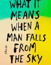 WHAT IT MEANS WHEN A MAN FALLS FROM THE SKY BY LESLEY NNEKA ARIMAH (ISBN: 9780735211032)