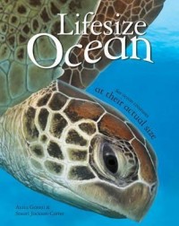 LIFESIZE OCEAN (ISBN: 9780753436349)