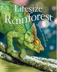 LIFESIZE RAINFOREST (ISBN: 9780753436356)