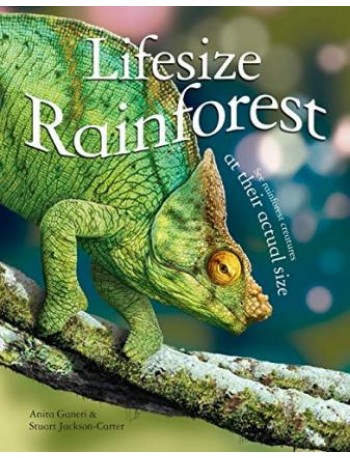 LIFESIZE RAINFOREST (ISBN: 9780753436356)