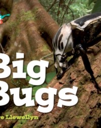 BIG BUGS (ISBN: 9781107550643) BIG BUGS (ISBN: 9781107550643)