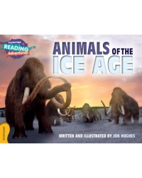 THE ICE AGE (ISBN: 9781107551626)