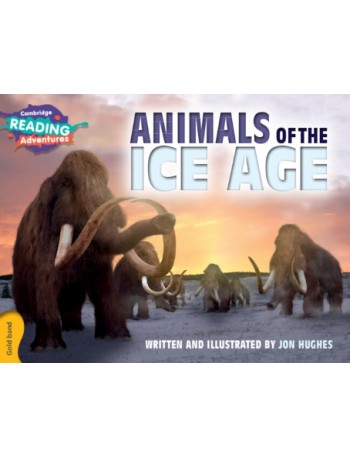 THE ICE AGE (ISBN: 9781107551626)