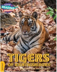 NEW GOLD TIGERS OF RANTHAMBORE (ISBN: 9781108436137) NEW GOLD TIGERS OF RANTHAMBORE (ISBN: 9781108436137)