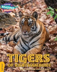 NEW GOLD TIGERS OF RANTHAMBORE (ISBN: 9781108436137) NEW GOLD TIGERS OF RANTHAMBORE (ISBN: 9781108436137)