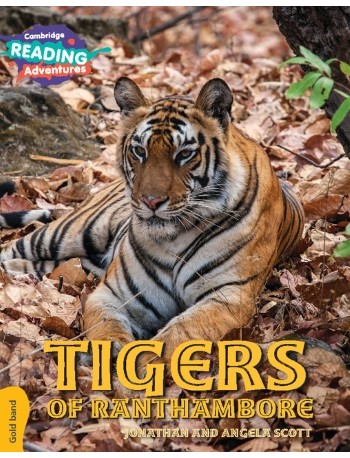 NEW GOLD TIGERS OF RANTHAMBORE (ISBN: 9781108436137)
