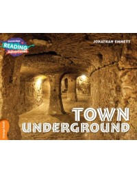 TOWN UNDERGROUND (ISBN: 9781316503331)