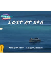 LOST AT SEA (ISBN: 9781316503447)