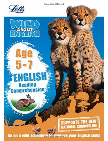 READING COMPREHENSION AGE 5 7(ISBN:9781844198894)