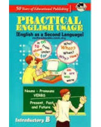 Grammar: Practical English Usage (Introductory Book B)  (ISBN: 9789831833261)