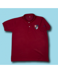 AIS SECONDARY POLO SHIRT