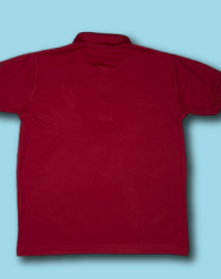 AIS SECONDARY POLO SHIRT AIS SECONDARY POLO SHIRT