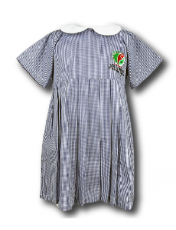 EARLY YEAR GIRL DRESS EARLY YEAR GIRL DRESS