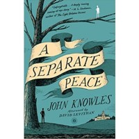 A Separate Peace by John Knowles (BOUGHT IN Y10) (ISBN: 9780743253970)