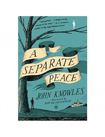 A SEPARATE PEACE BY JOHN KNOWLES (BOUGHT IN Y10) (ISBN: 9780743253970)