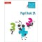 BUSY ANT MATHS PUPIL BOOK 3A (ISBN: 9780007562374)