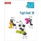 BUSY ANT MATHS PUPIL BOOK 3B (ISBN: 9780007562381)