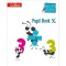 BUSY ANT MATHS PUPIL BOOK 3C (ISBN: 9780007562398)
