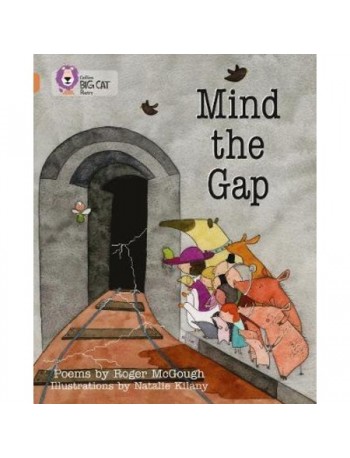 MIND THE GAP (ISBN: 9780007336227)
