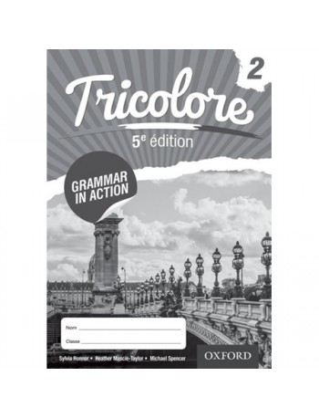 TRICOLORE 5E ÉDITION GRAMMAR IN ACTION WORKBOOK 2 (ISBN: 9781408527443)